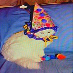Toadbarks