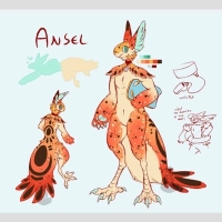 Thumbnail for #0697: Ansel